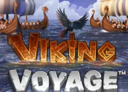 Viking Voyage